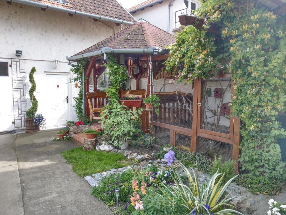 Apartment Harmonija apatin Bagian luar foto